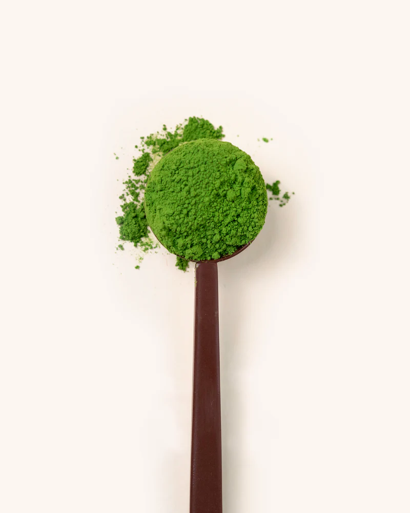 Spoon with matcha in it